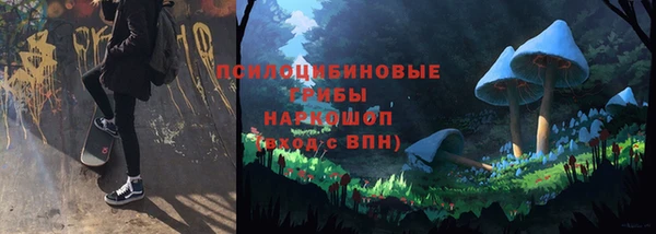 дмт Балахна