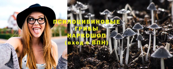дмт Балахна