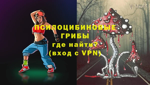 дмт Балахна