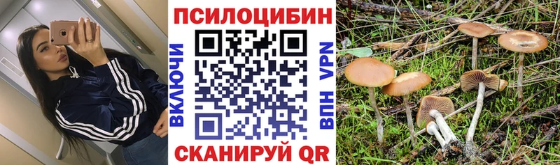 Галлюциногенные грибы прущие грибы  Нерюнгри 