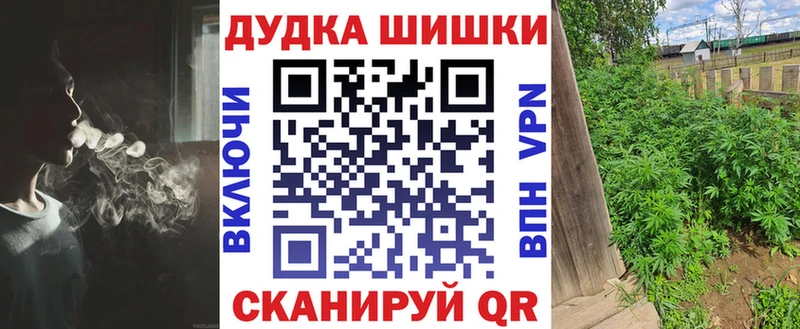 мега онион  хочу   Нерюнгри  Бошки марихуана THC 21% 